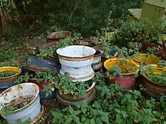 Fortschritt Felgen HW 80, ZT 323 usw.