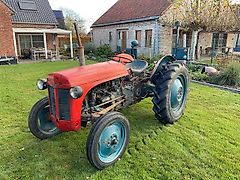 Massey Ferguson TE20
