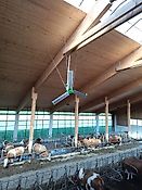 Stallbelüftung Stalllüfter,Hybridlüfter Hitzestress