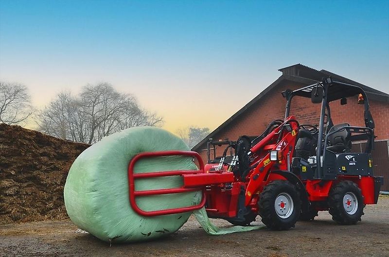 WEMATIK Ballengreifer Darwin mit Euroaufnahme