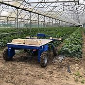 Engels Multispin 24V zelfrijdend