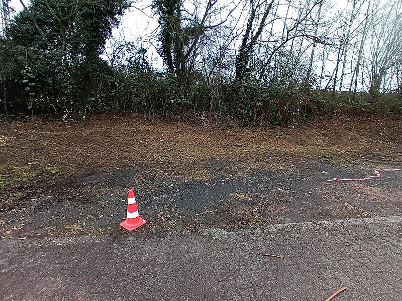 Timan Mähraupe Mulchraupe Böschungsmäher Mieten Vermietung