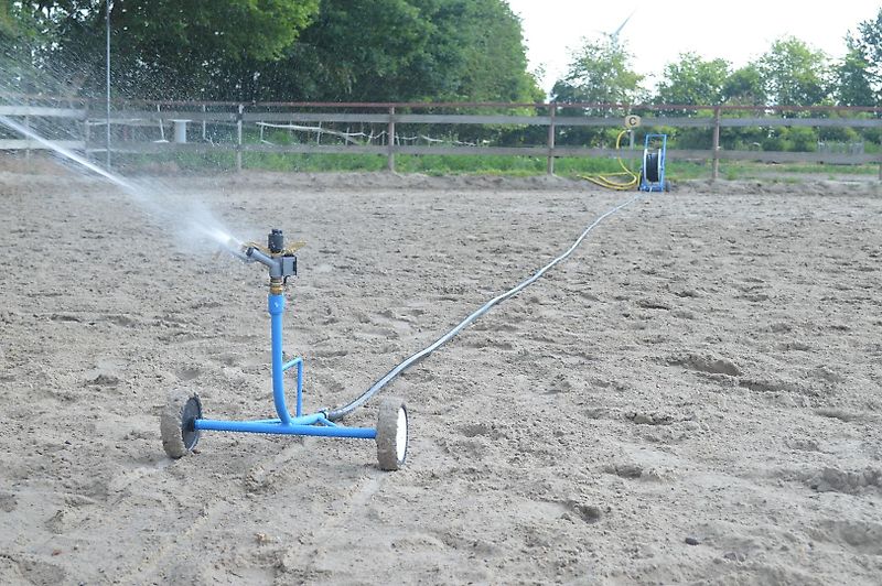 Buchholz Wasserprinz